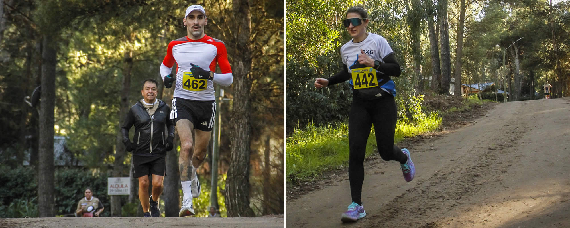 Ganadores